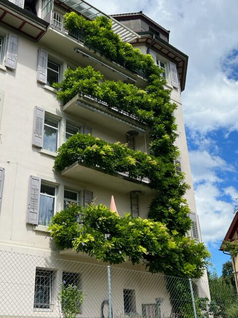 Groene balkons flat in Zwitserland